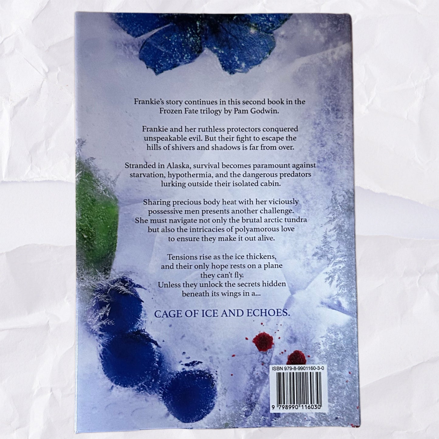 Cage of Ice and Echoes (Frozen Fate #2) by Pam Godwin