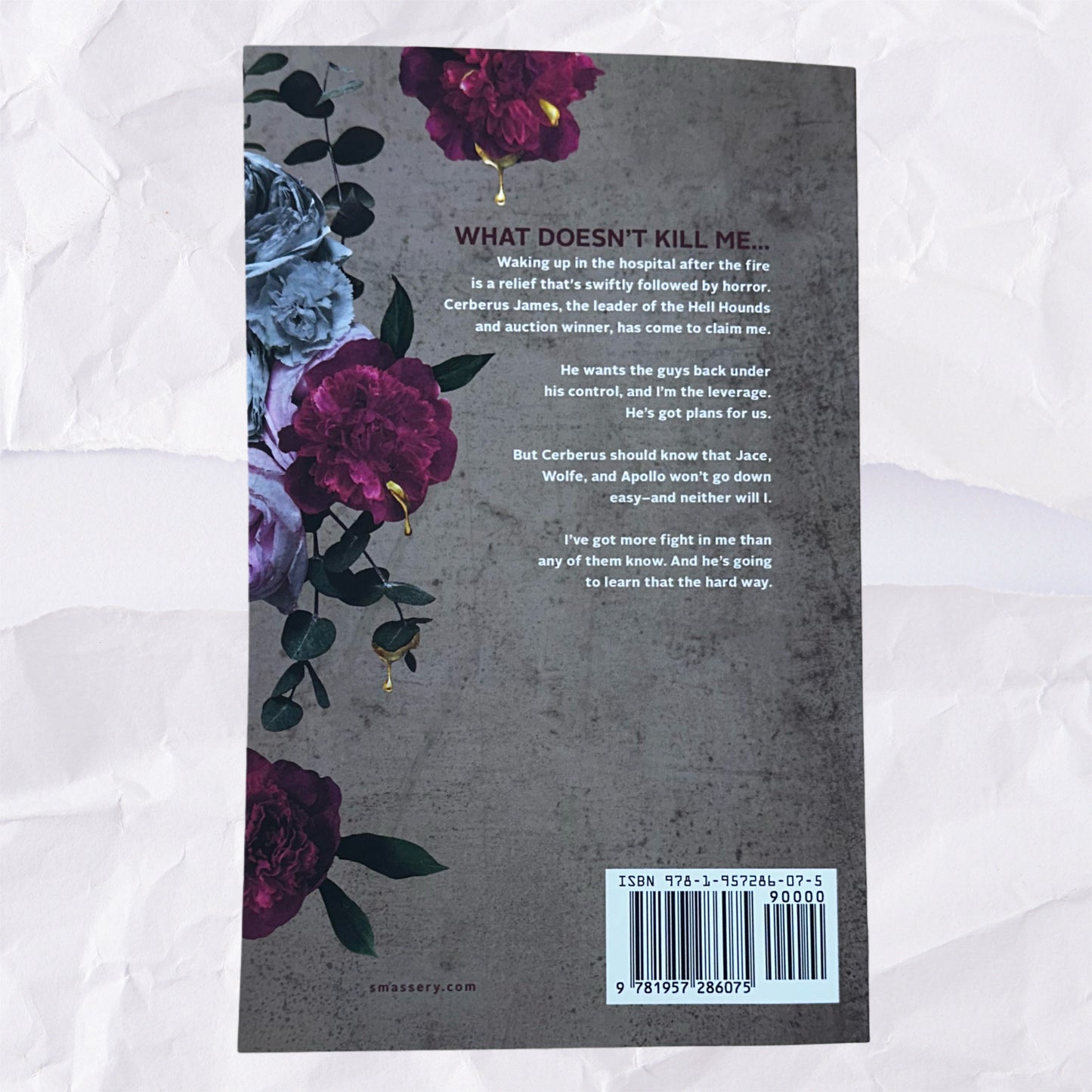Fighter (Sterling Falls #2) by S. Massery