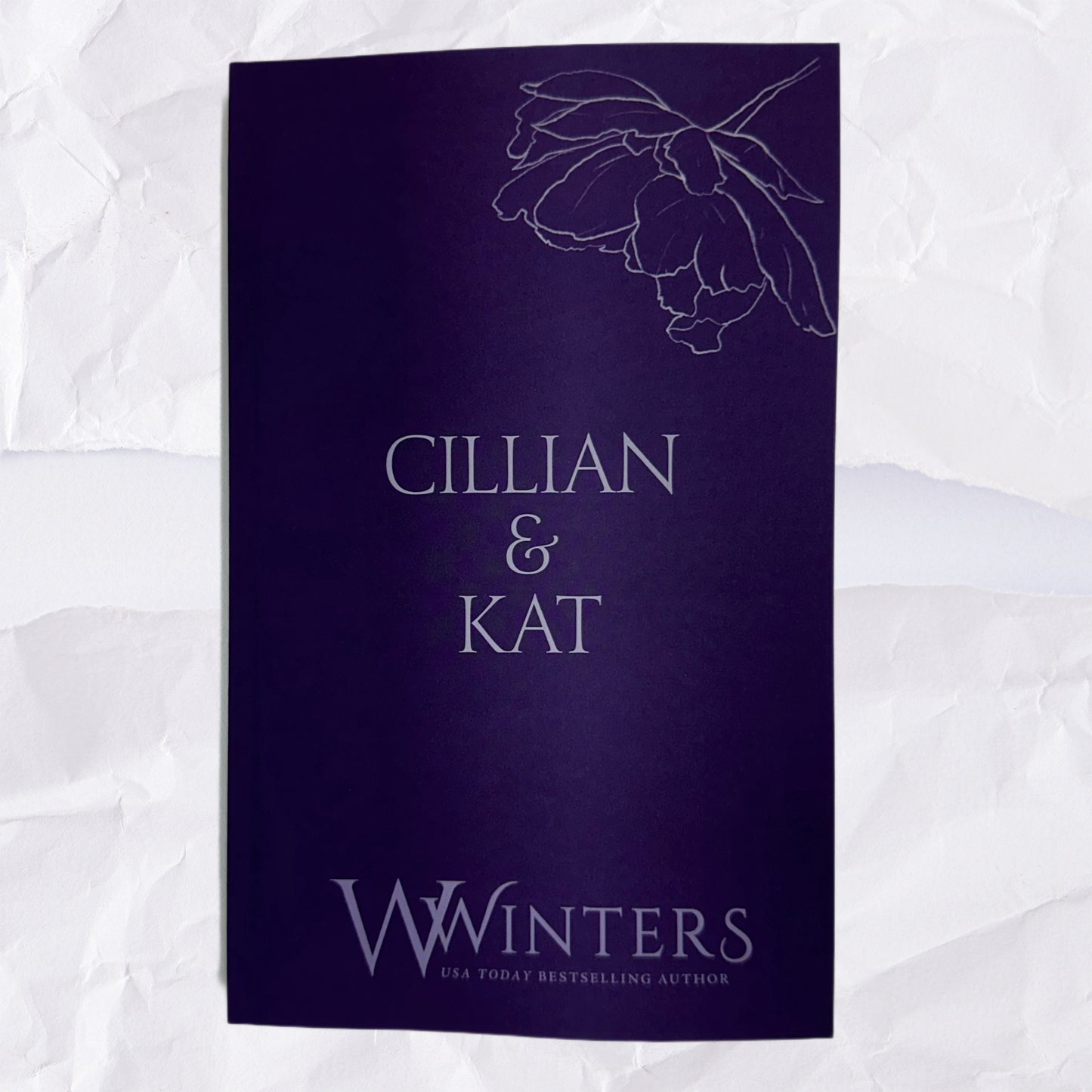 51) Cillian & Kat: Discreet Series by Willow Winters