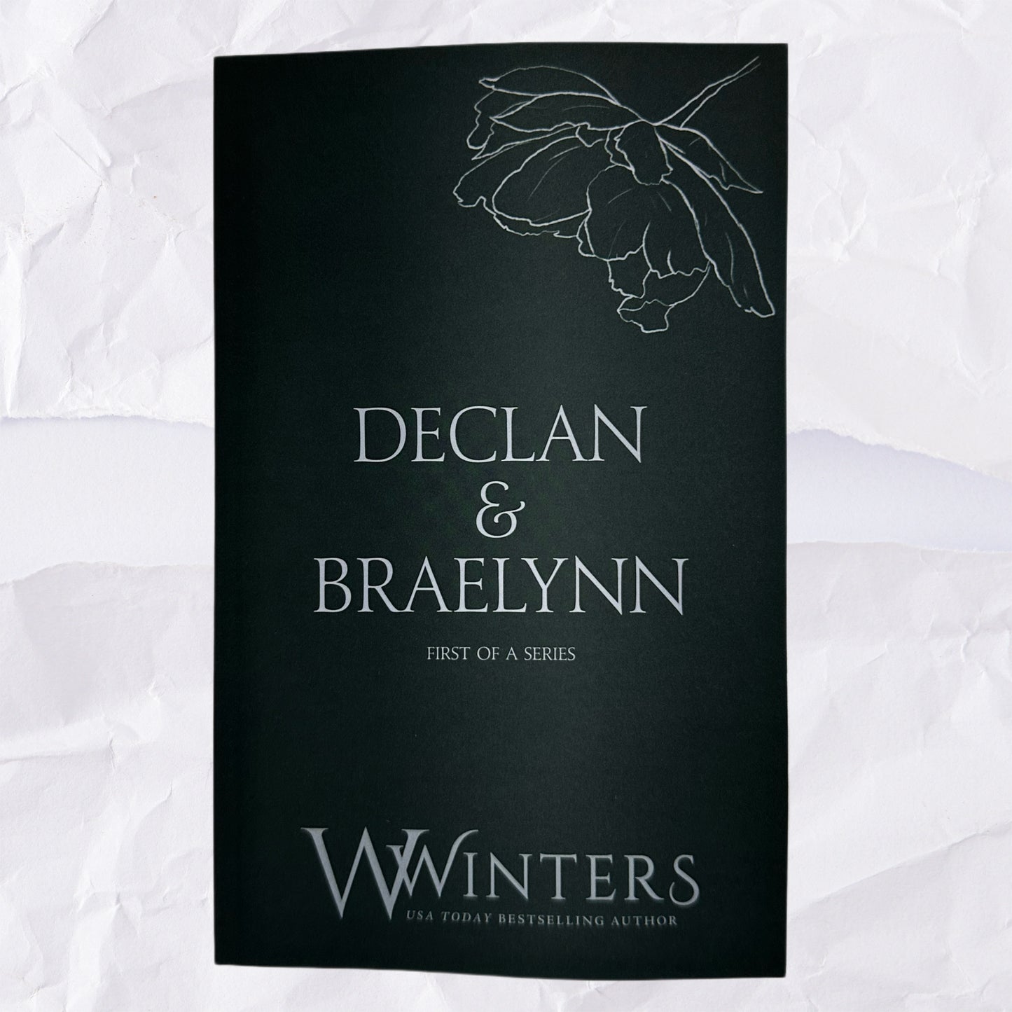 48) Declan & Braelynn - First of a Series: Discreet Series by Willow Winters