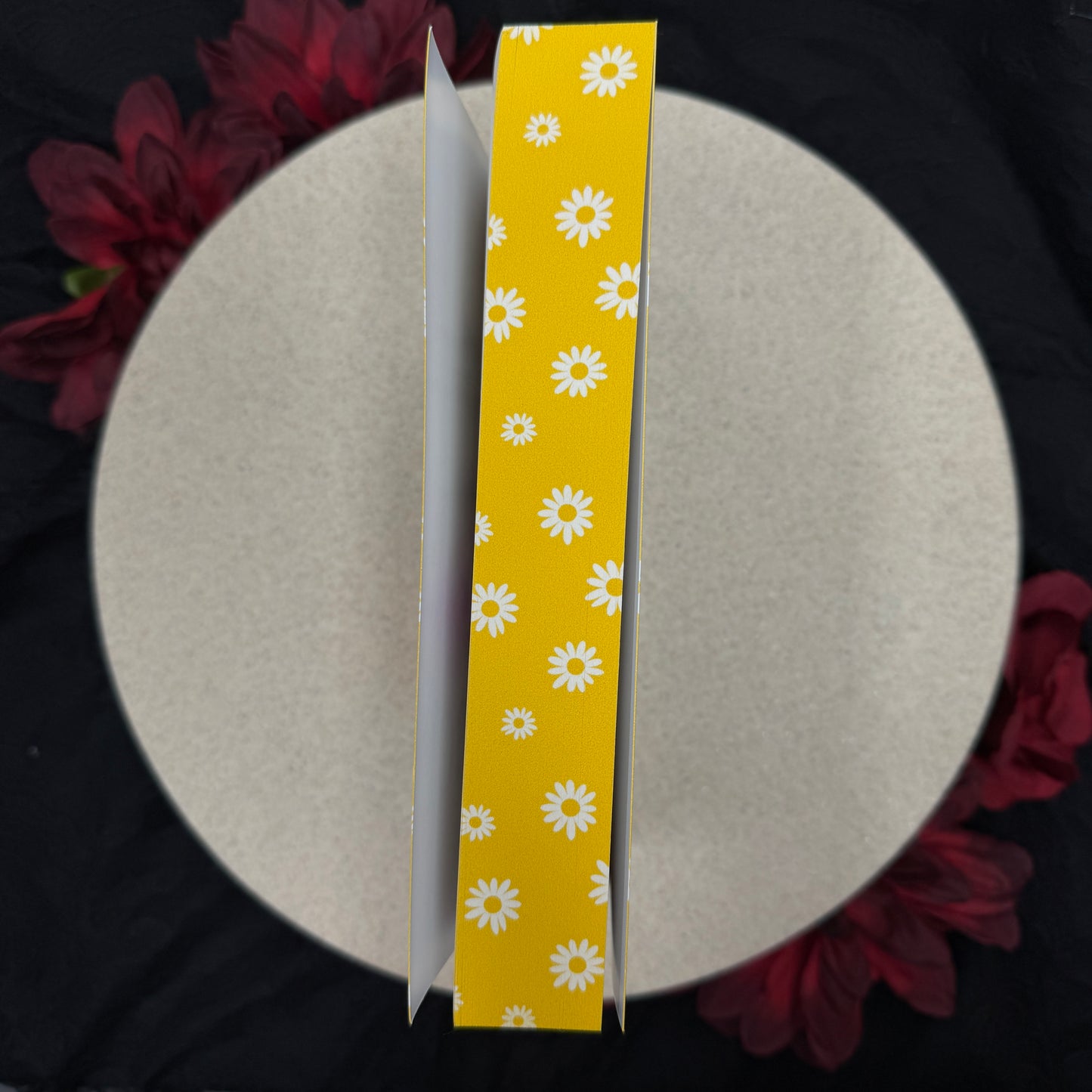 Connor (The Billionaires of Whispers #3) by Samantha Skye - Special Edition