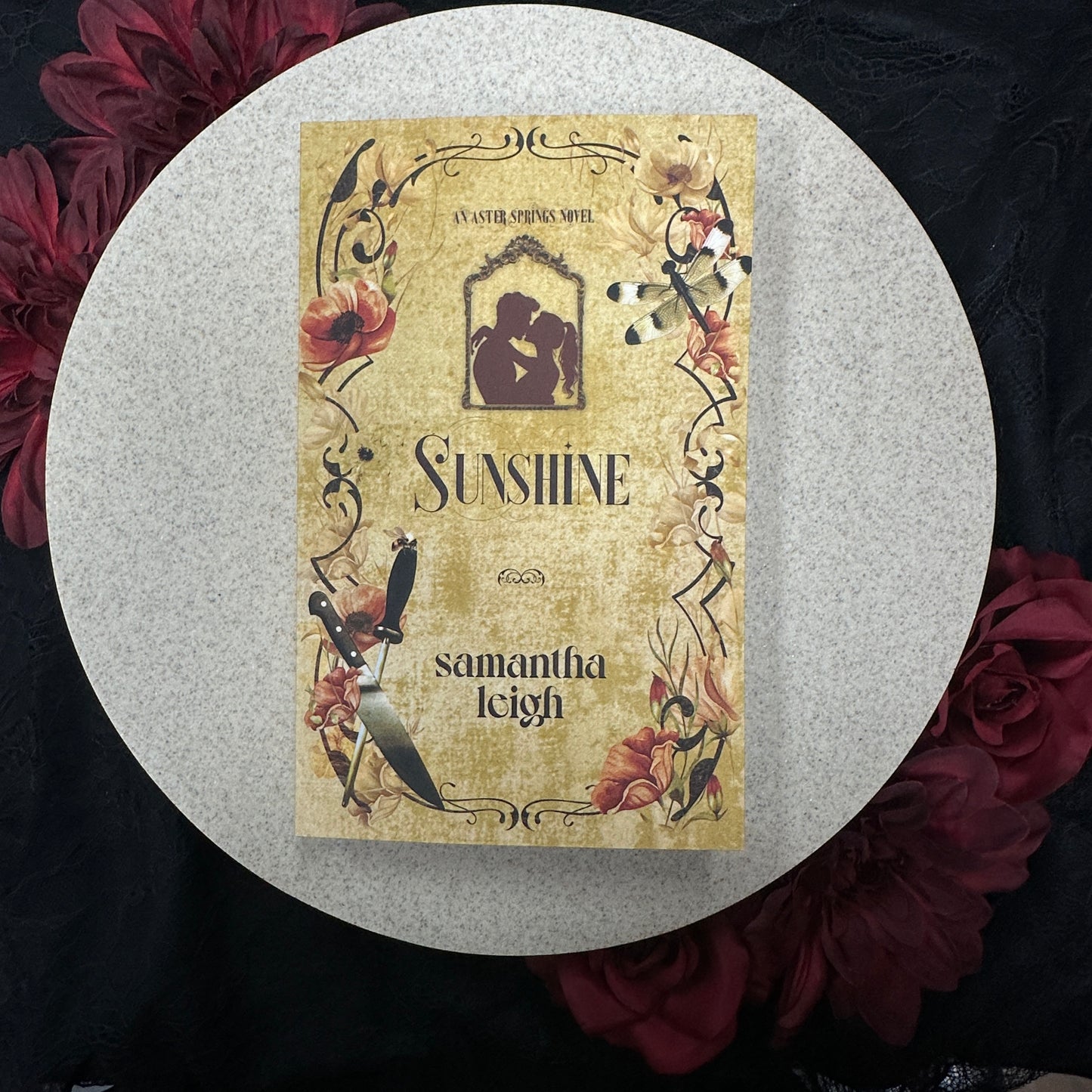 Sunshine (Aster Springs #2) by Samantha Leigh
