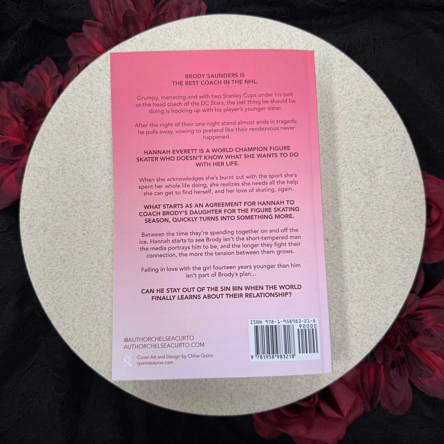 Sin Bin (D.C. Stars #5) by Chelsea Curto