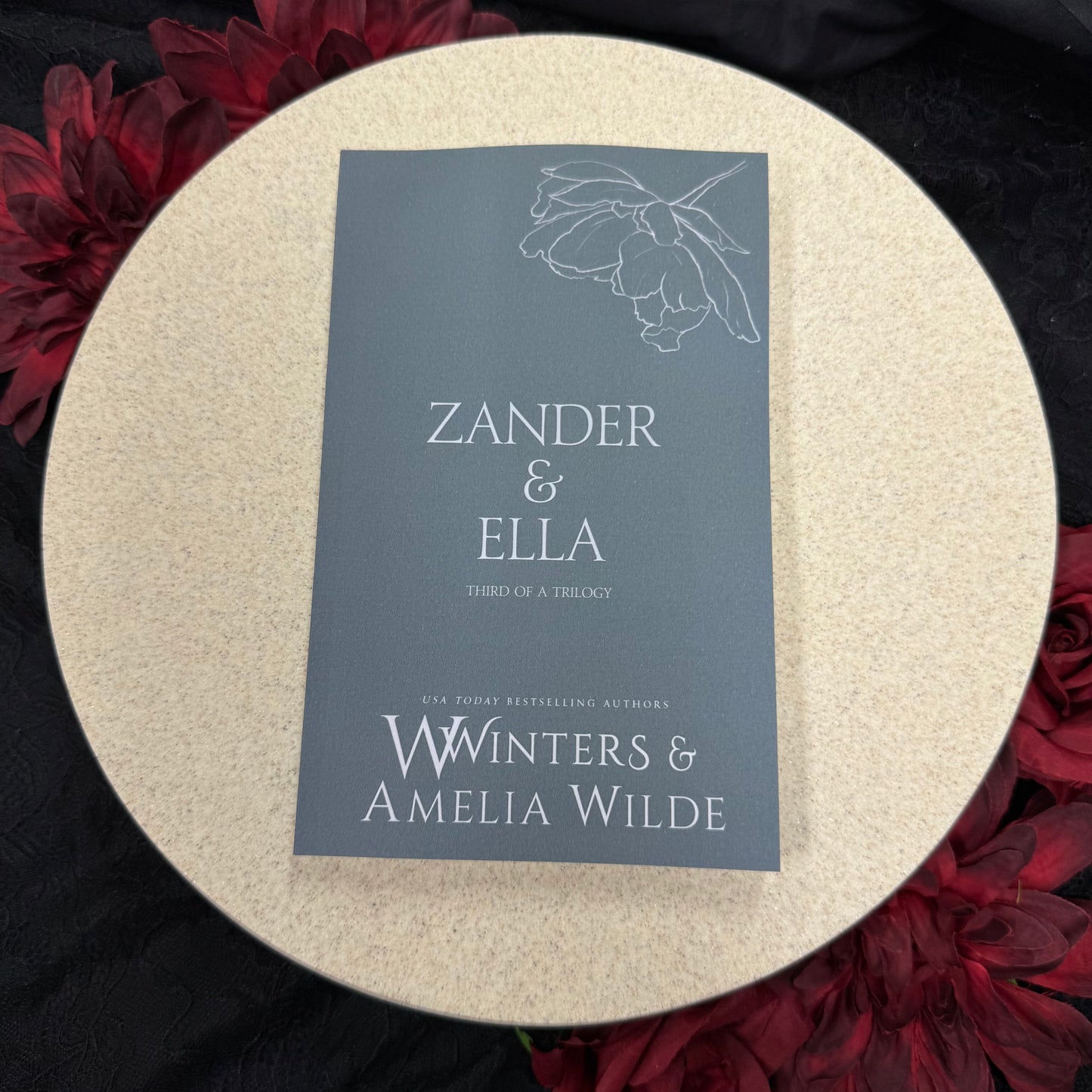 47) Zander & Ella - Third of a Trilogy: Discreet Series by Willow Winters