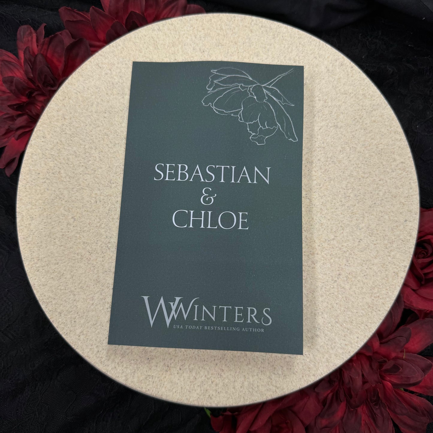 29) Sebastian & Chloe: Discreet Series by Willow Winters