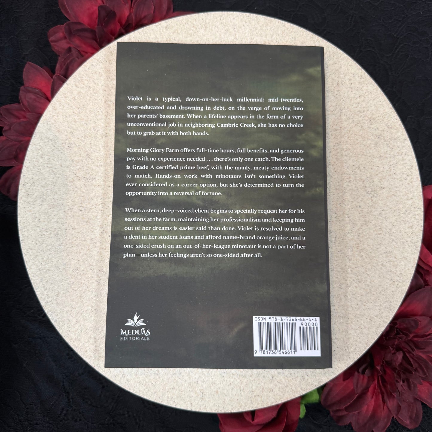 Morning Glory Milking Farm (Cambric Creek #1) by C.M. Nascosta