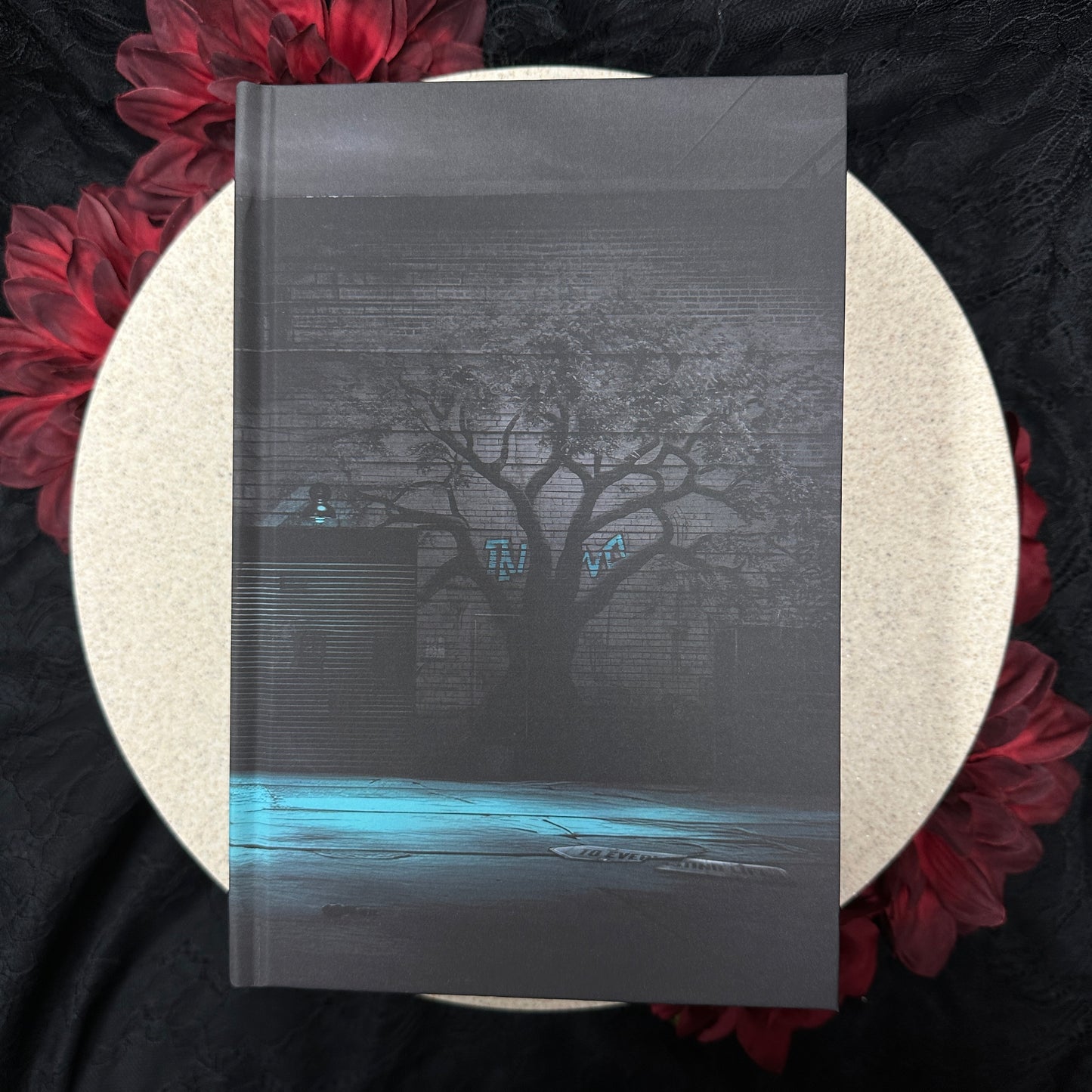 City of Soul and Sinners (House of Devils #2) by Kayla Edwards - Hardcover