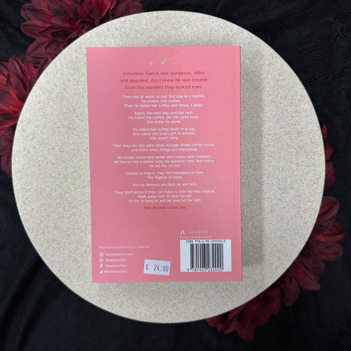 Mr. Garcia (Mr. Series #3) by T.L. Swan