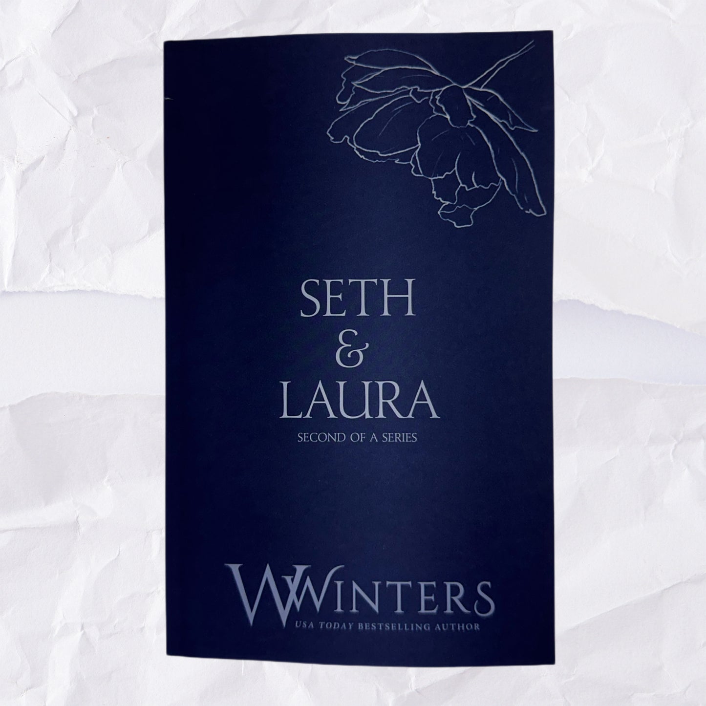 39) Seth & Laura - Second of a Series: Discreet Series by Willow Winters