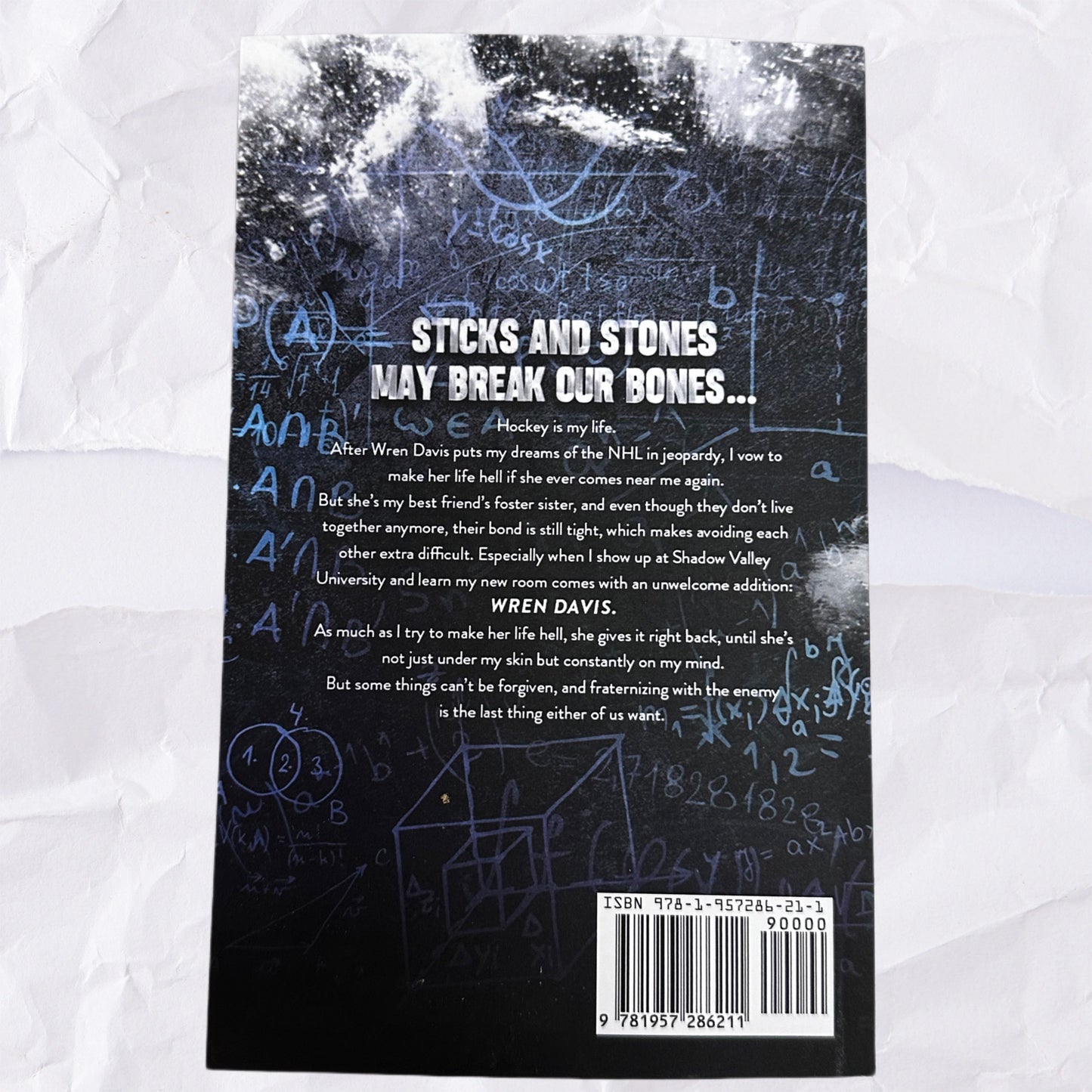 Sticks and Stones (Shadow Valley U #1) by S. Massery & S.J. Sylvis