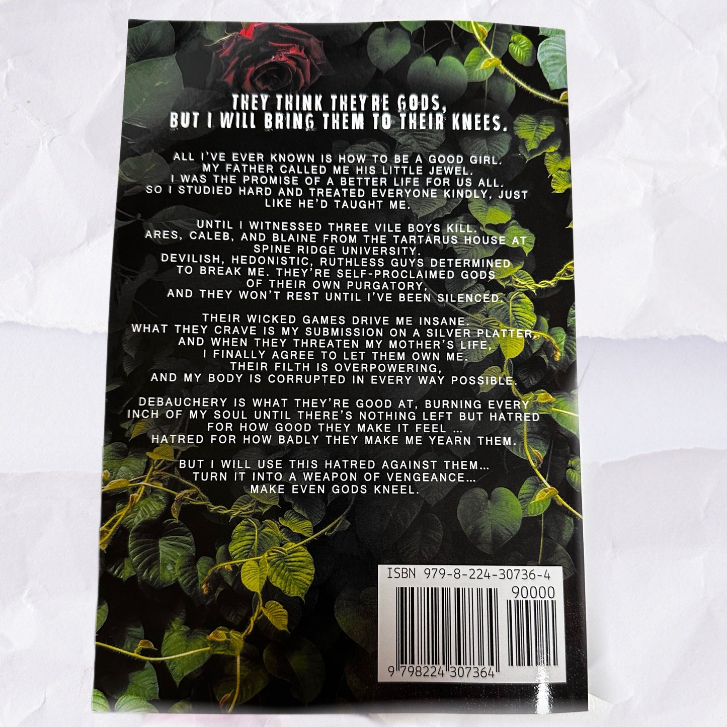 Vile Boys (Spine Ridge University #3) by Clarissa Wild