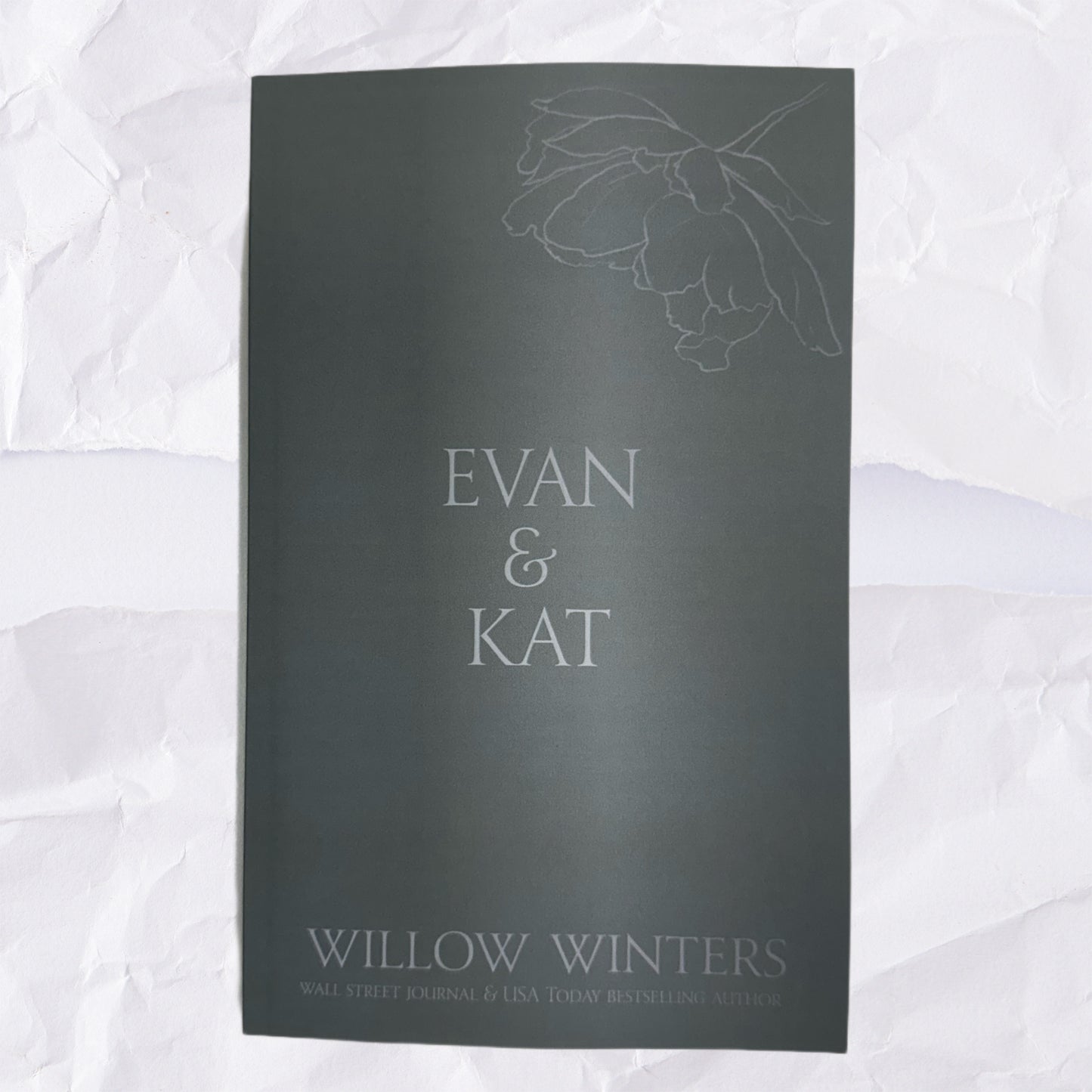 24) Evan & Kat 1: Discreet Series by Willow Winters