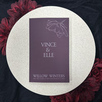 2) Vince & Elle: Discreet Series by Willow Winters