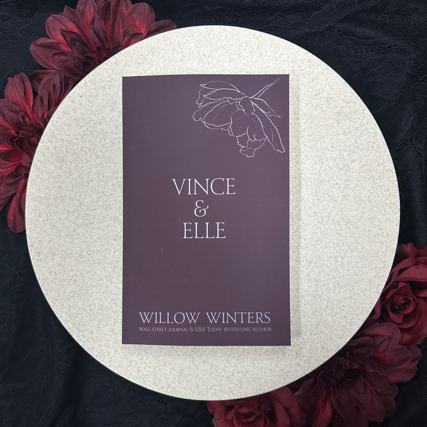 2) Vince & Elle: Discreet Series by Willow Winters