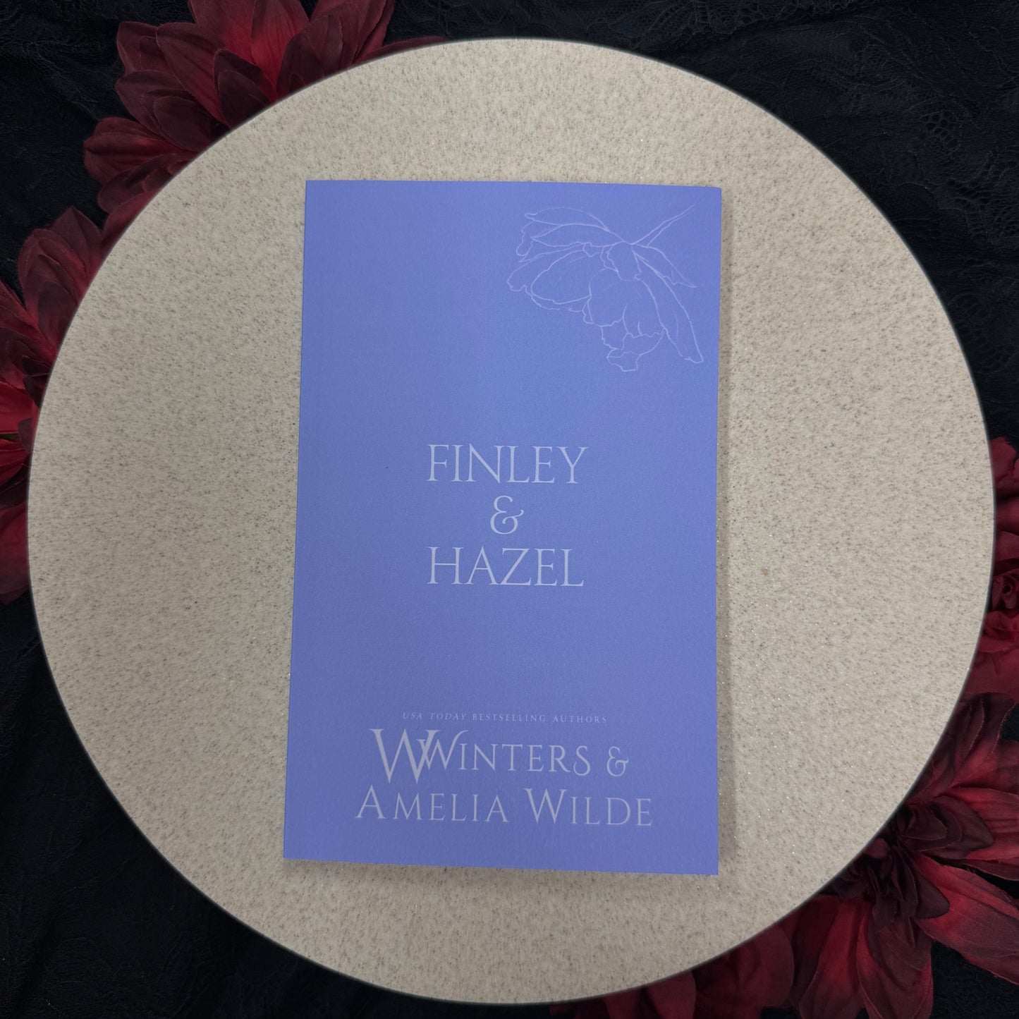 69) Finley & Hazel: Discreet Series by Willow Winters