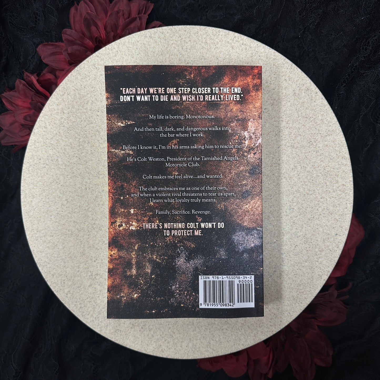 Wreck & Ruin (Tarnished Angels Motorcycle Club #1) by Emma Slate