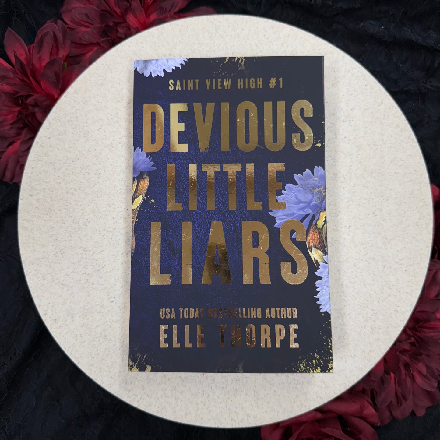 Devious Little Liars (Saint View High #1) by Elle Thorpe - Special Edition