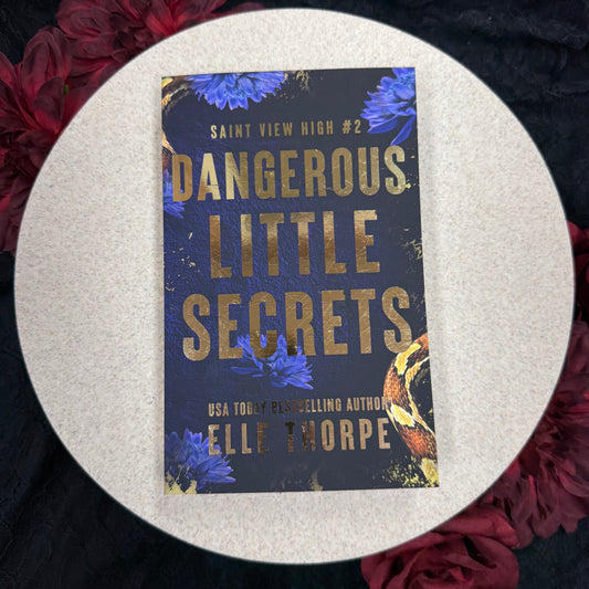 Dangerous Little Secrets (Saint View High #2) by Elle Thorpe - Special Edition