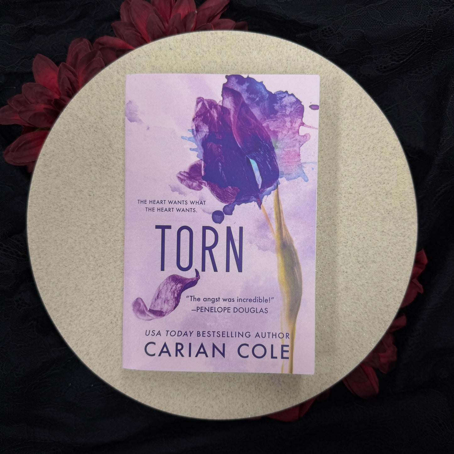 Torn (All Torn Up #1) by Carian Cole