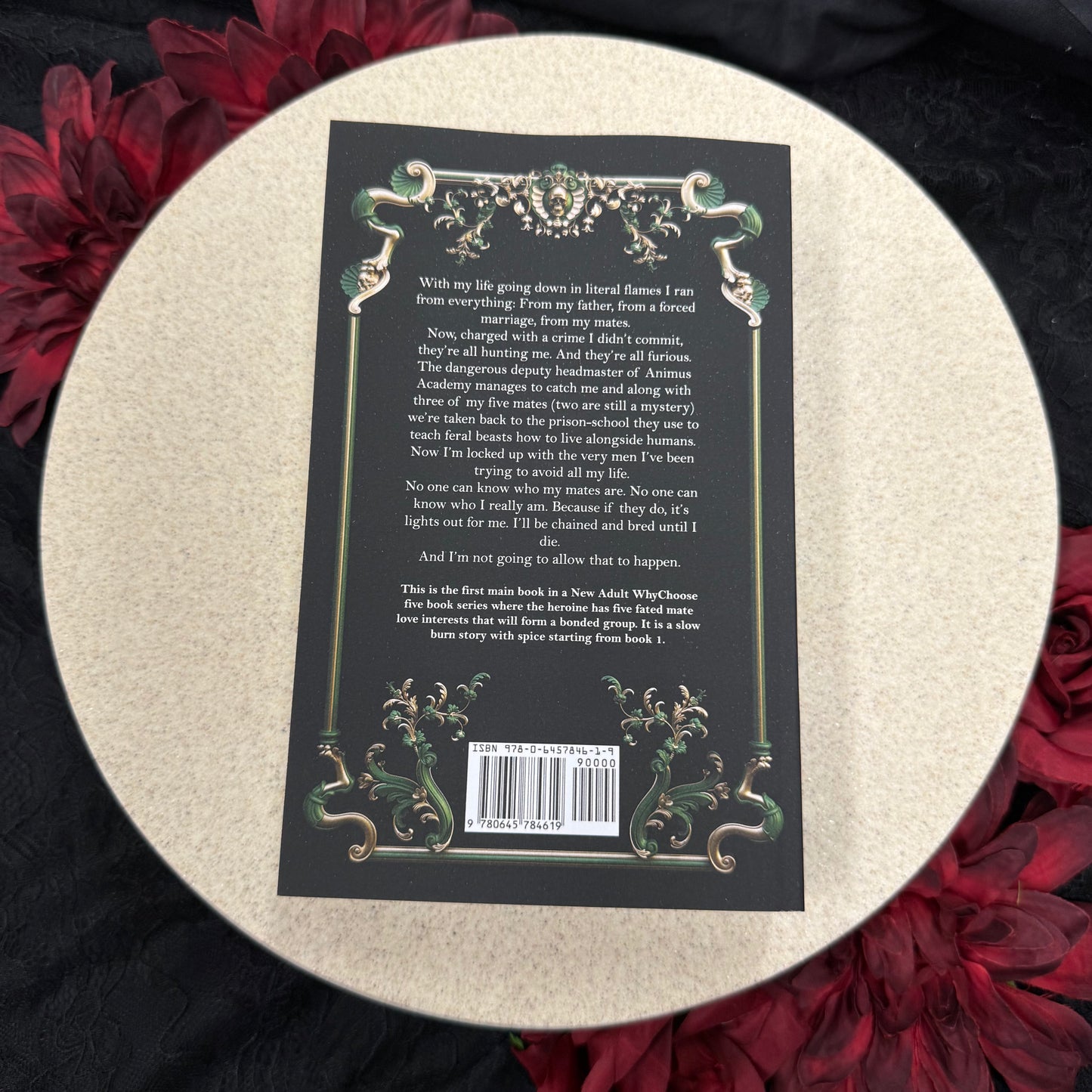 Her Feral Beasts (Her Vicious Beasts #1) by E.P. Bali
