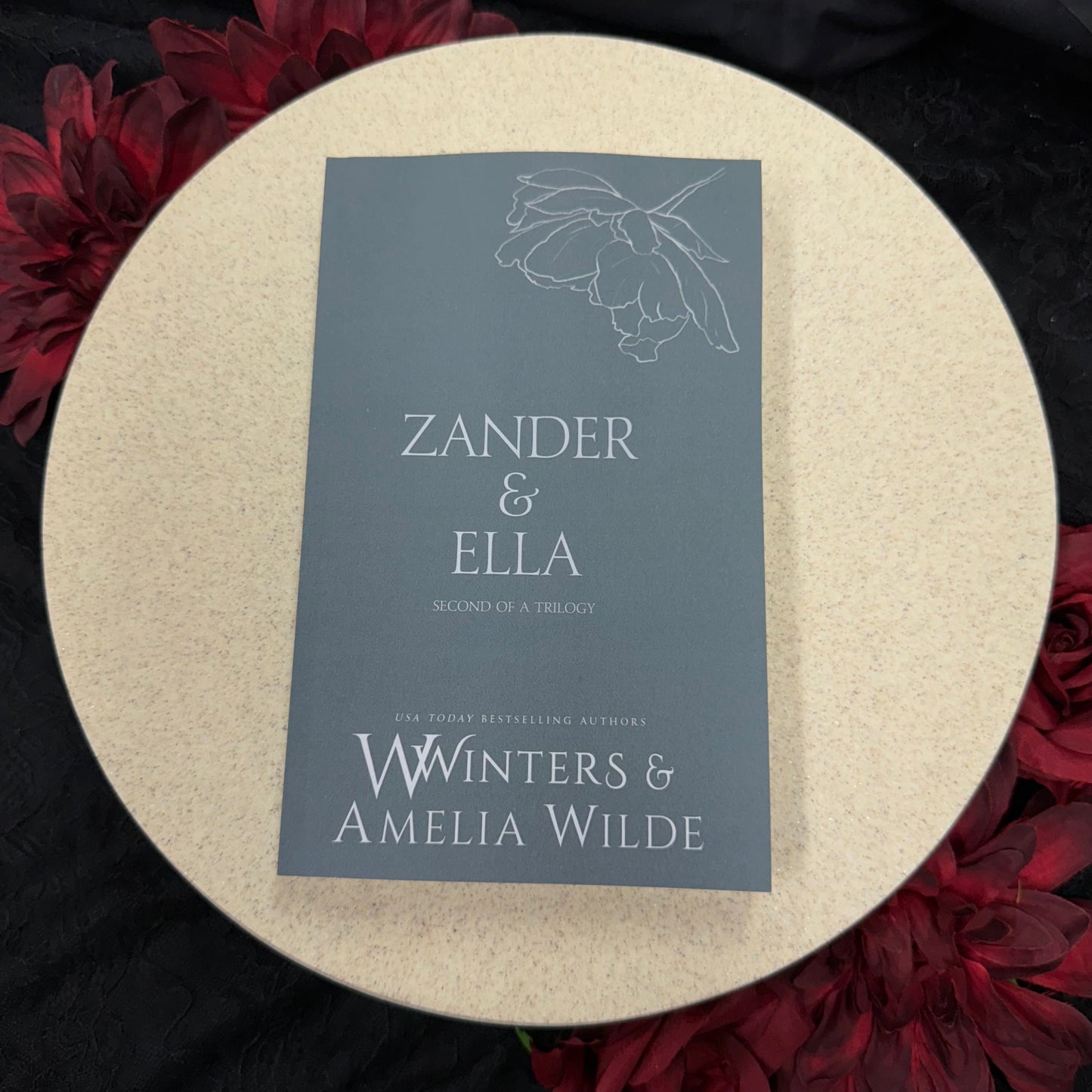 46) Zander & Ella - Second of a Trilogy: Discreet Series by Willow Winters