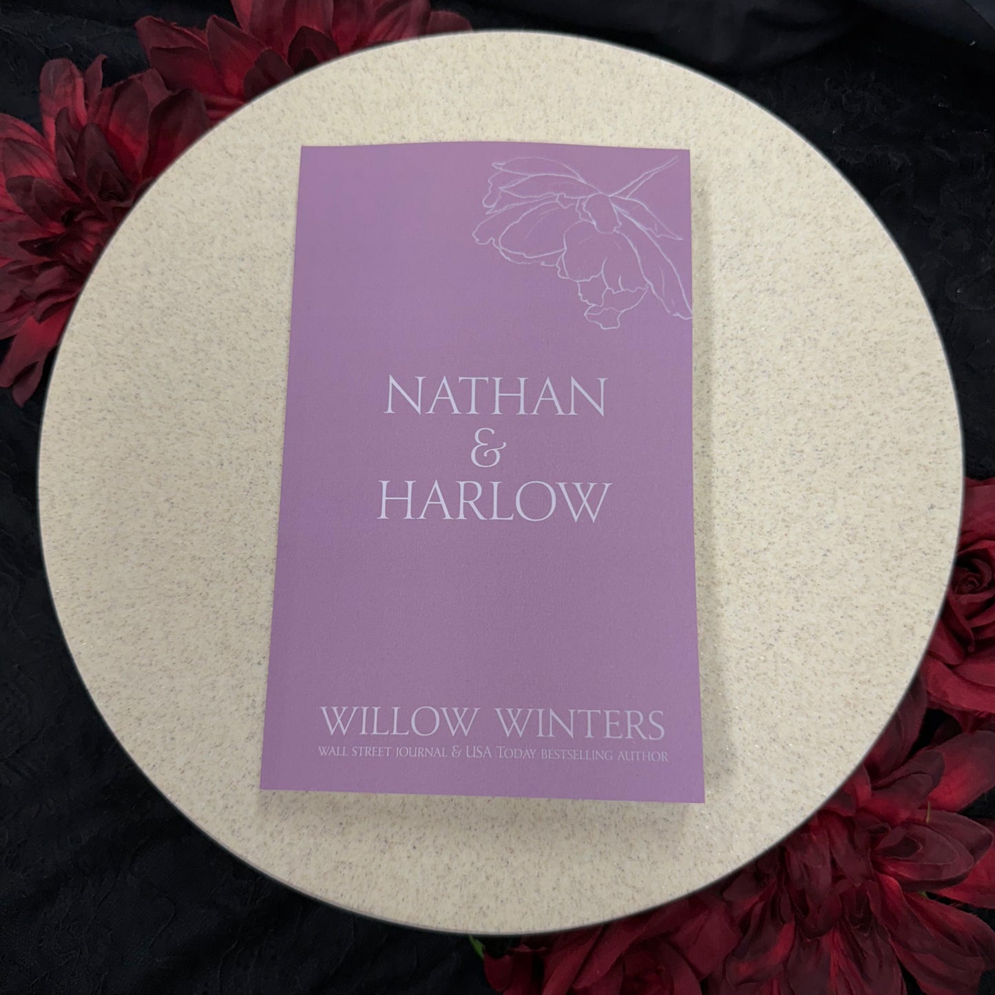 16) Nathan & Harlow: Discreet Series by Willow Winters