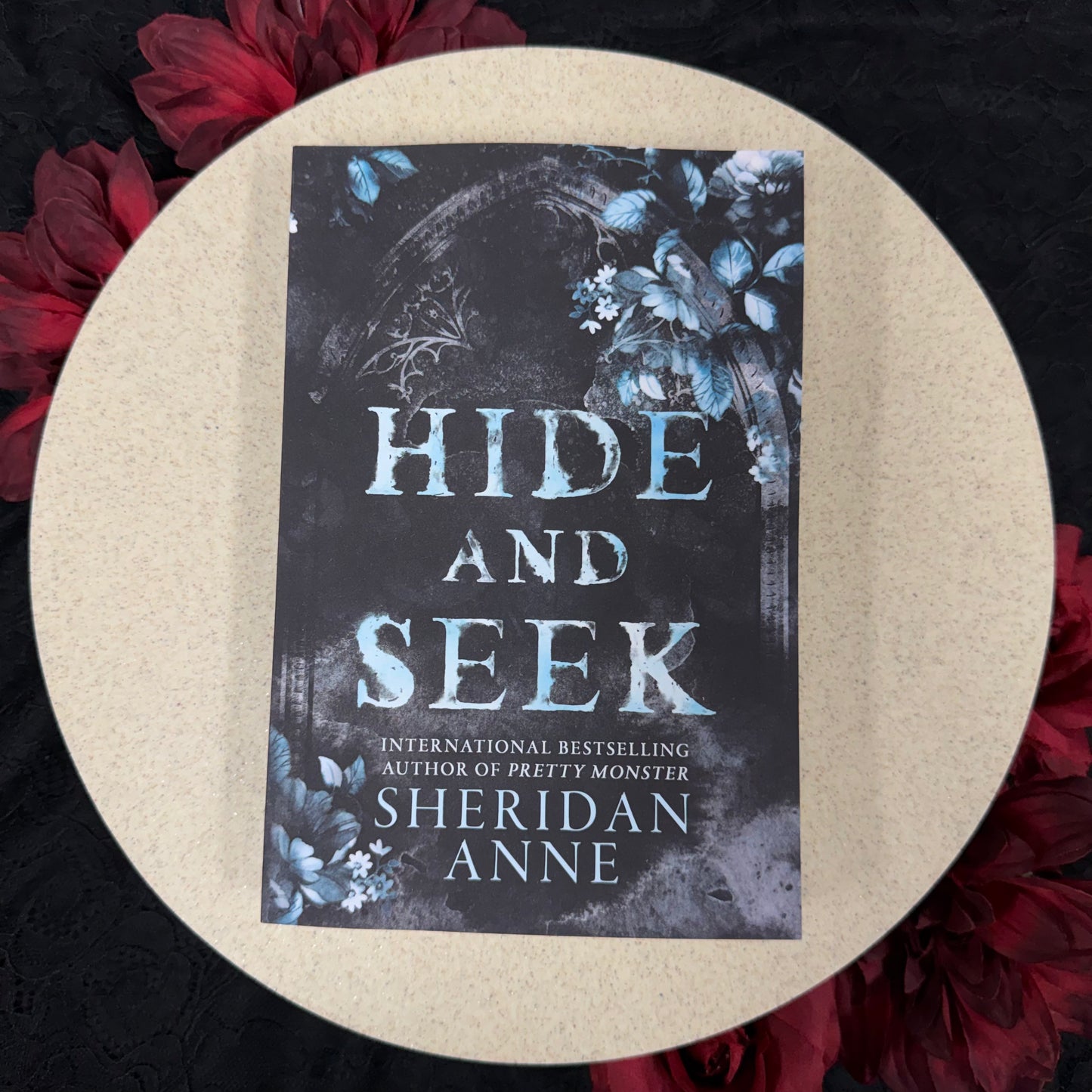 Hide and Seek (Hide and Seek #1) by Sheridan Anne