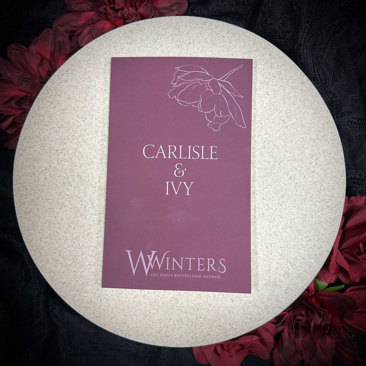 Carlisle & Ivy: Discreet Series by Willow Winters