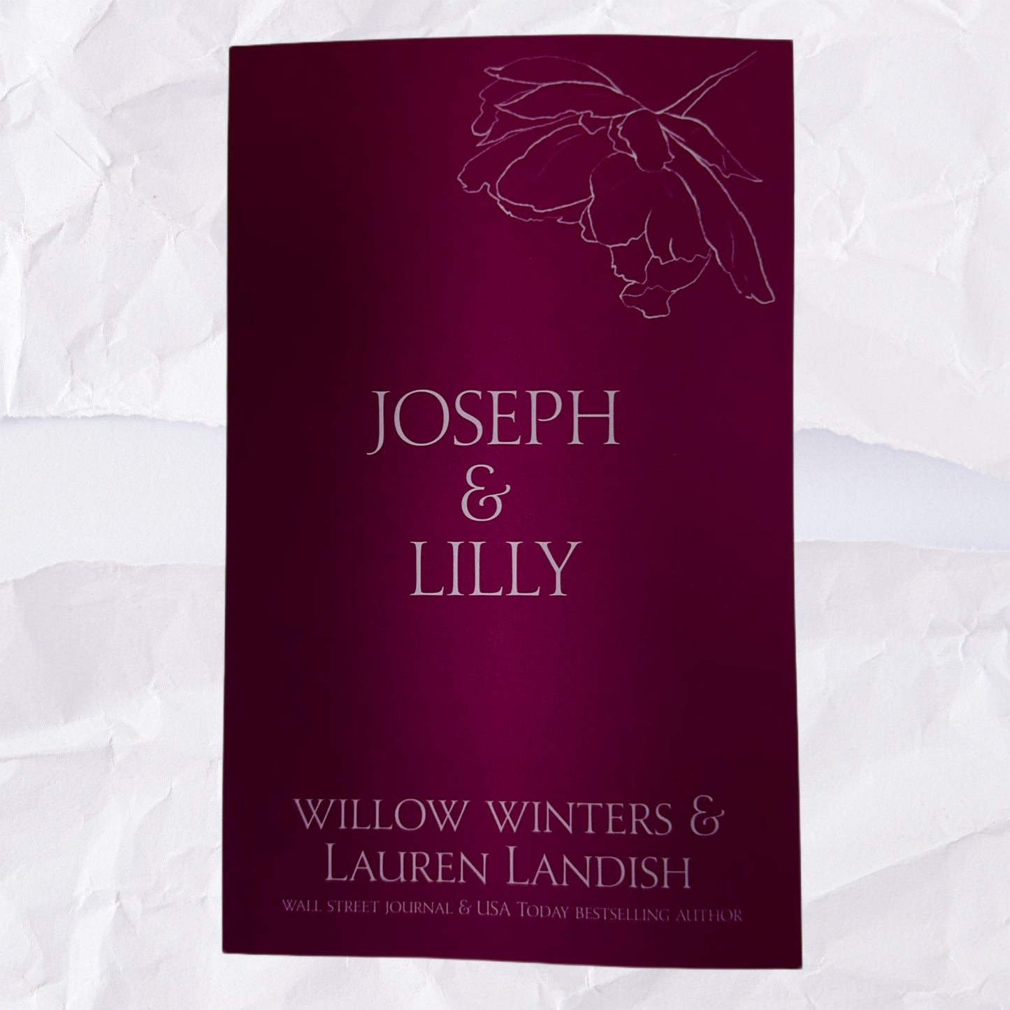 10) Joseph & Lily: Discreet Series by Willow Winters
