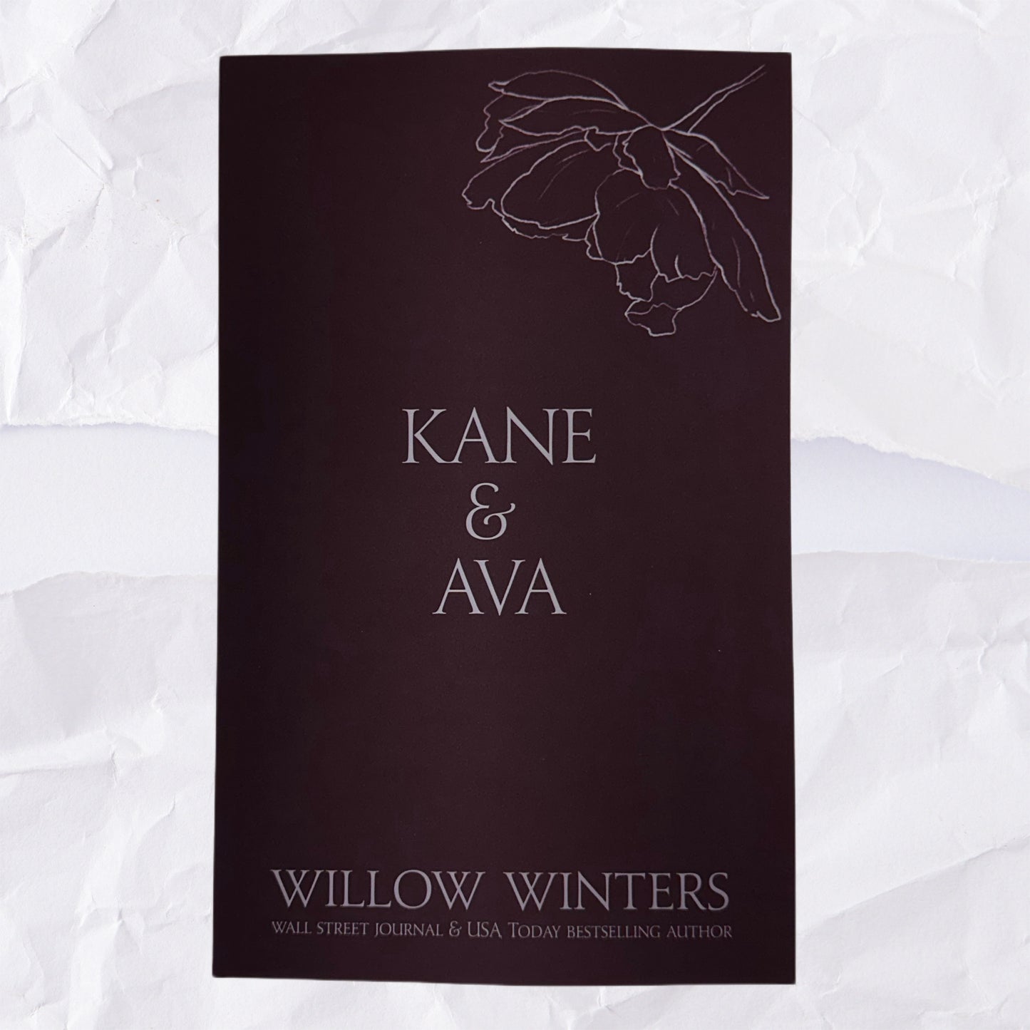 3) Kane & Ava: Discreet Series by Willow Winters