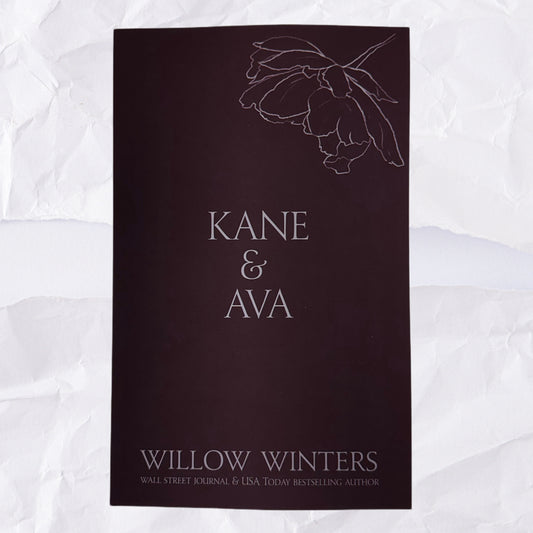 3) Kane & Ava: Discreet Series by Willow Winters
