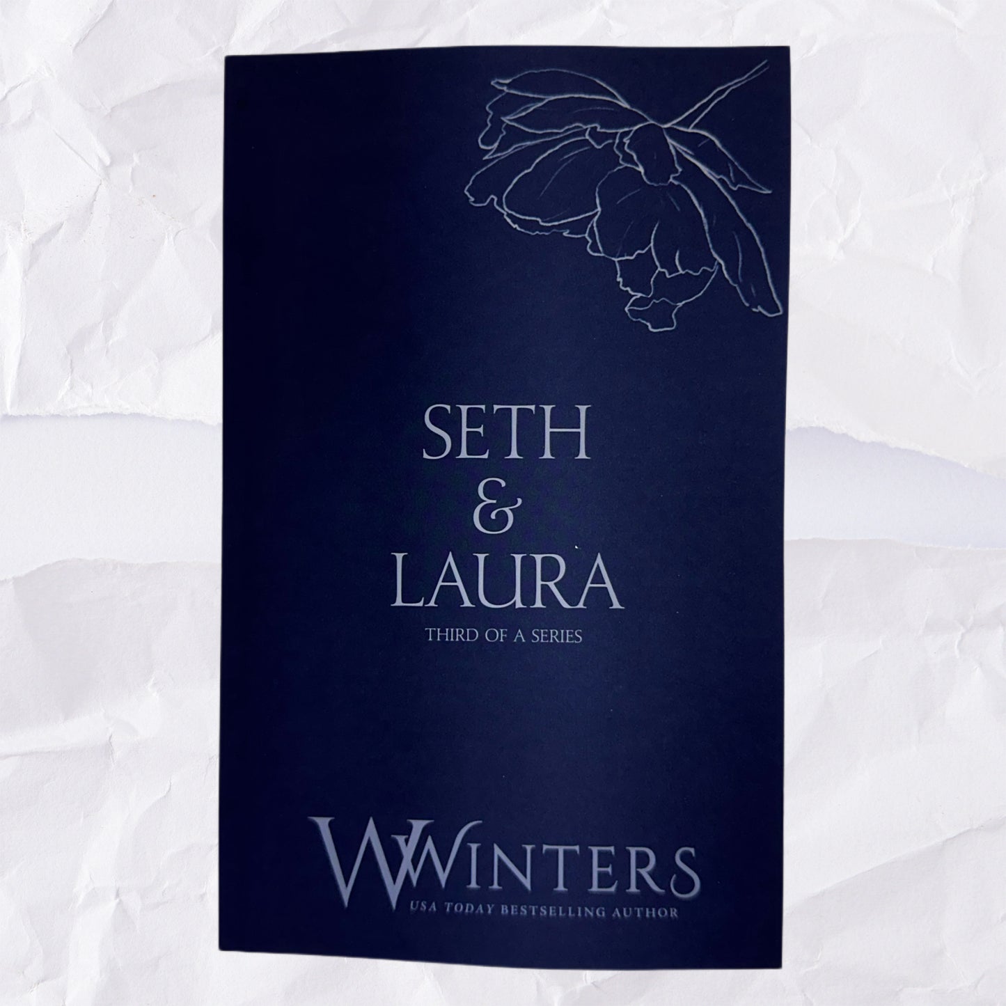 40) Seth & Laura - Third of a Series: Discreet Series by Willow Winters