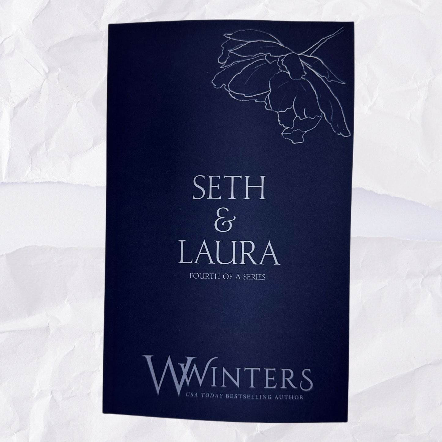 41) Seth & Laura - Fourth of a Series: Discreet Series by Willow Winters