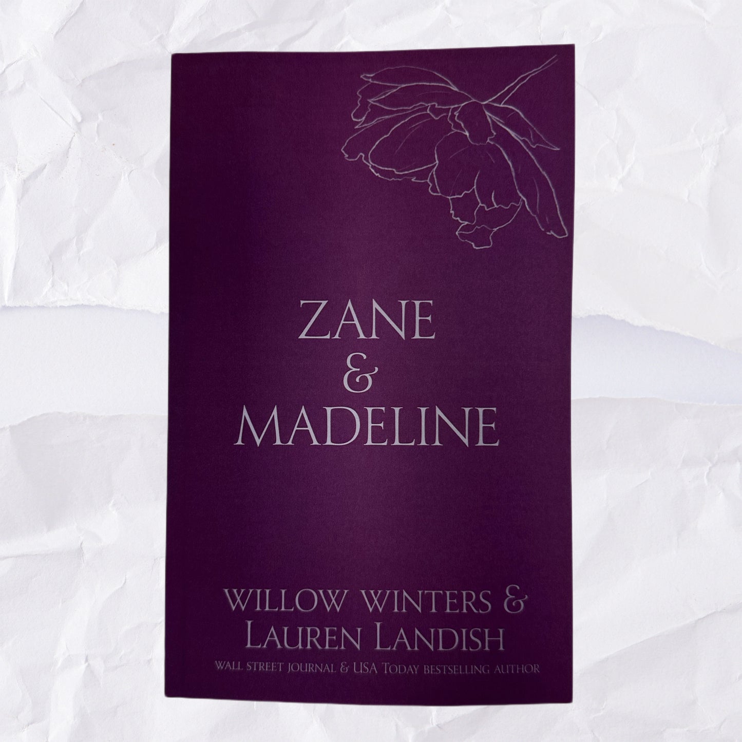 14) Zane & Madeline: Discreet Series by Willow Winters